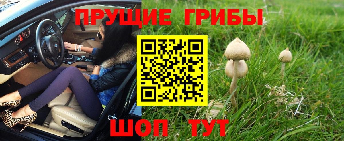 Псилоцибиновые грибы ЛСД Лосино-Петровский